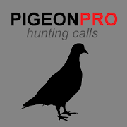 Pigeon Calls for Hunting 1.0 Icon