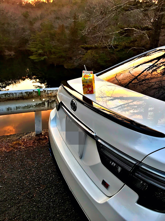 マークXのTEAM XROSS・今日は半額リプトン・夕陽に関するカスタム事例の投稿画像4枚目