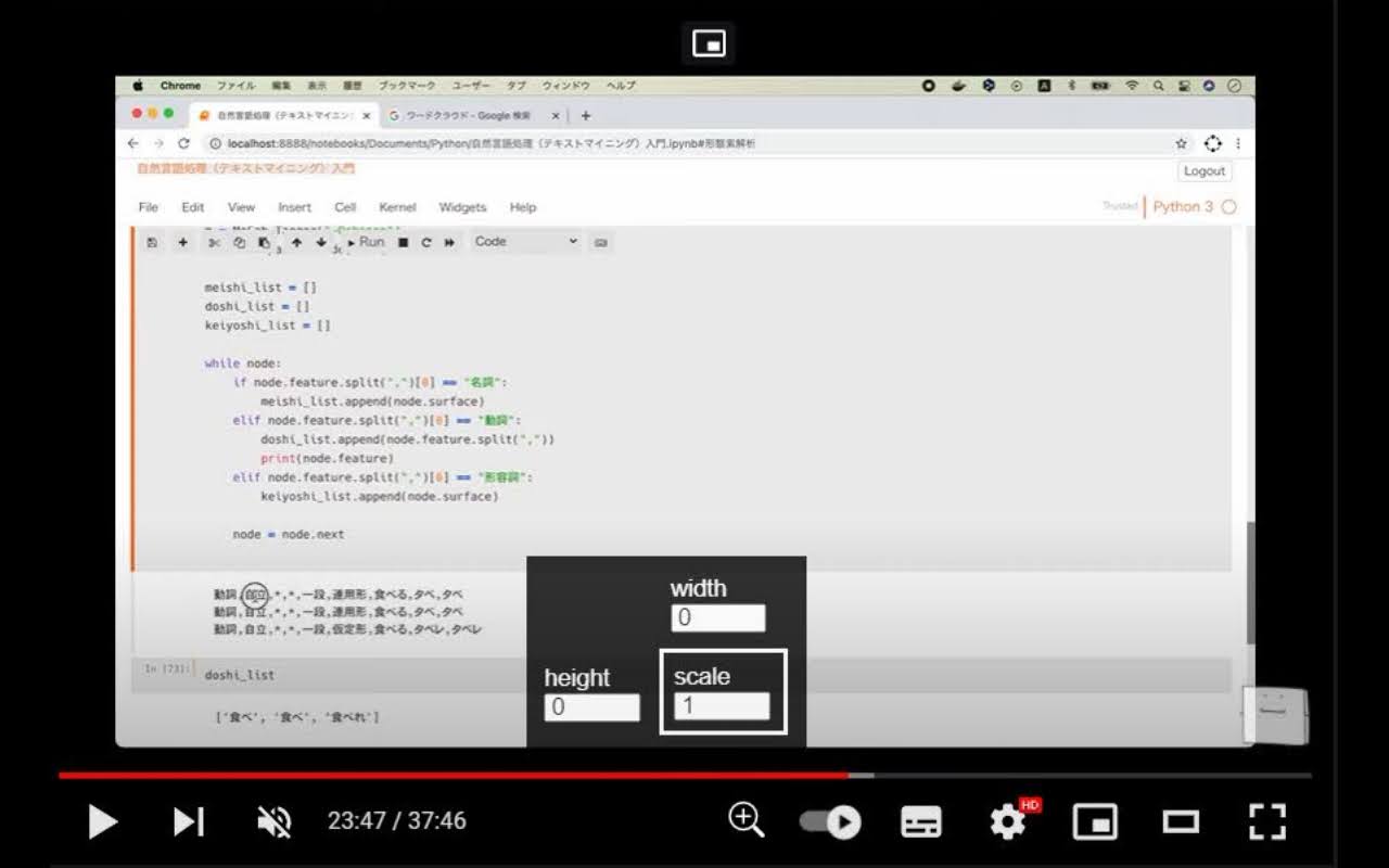 YouTube Zoom Preview image 0