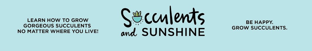 Succulents and Sunshine Banner