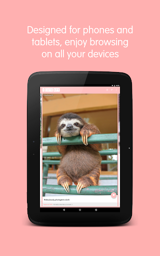 The Cute App - Dogs  Cats