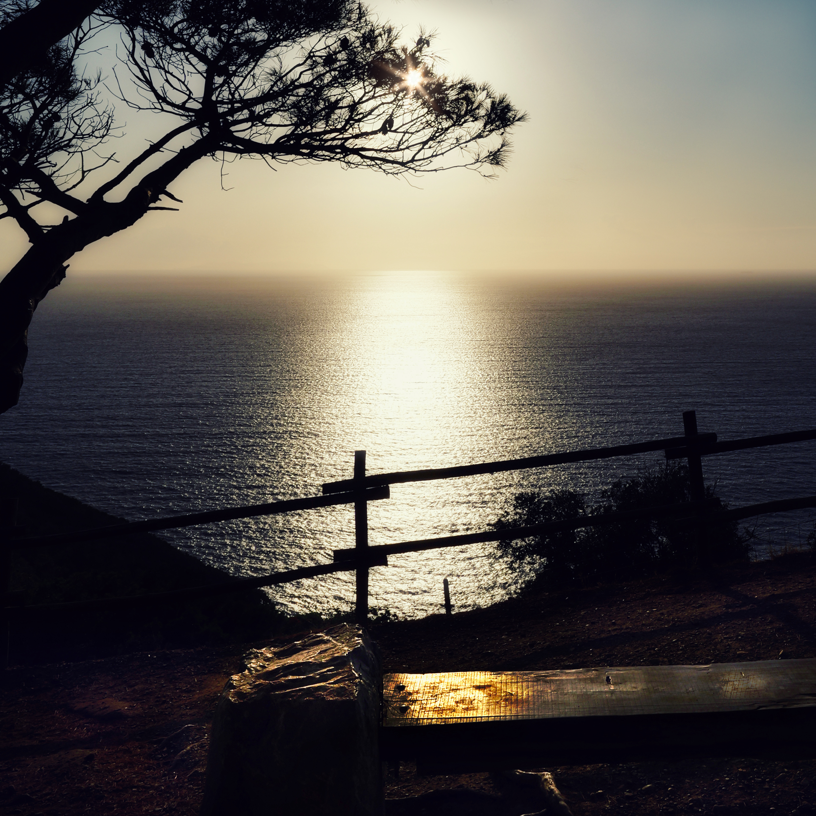 Populonia di ErreVix