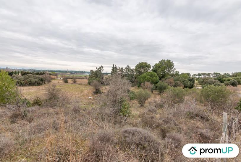  Vente Terrain agricole - 10 610m² à Lunel-Viel (34400) 