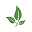 WellnessWrx Download on Windows