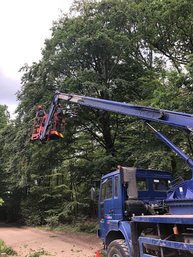 Ryan secured safely in the basket of the mobile elevated platform