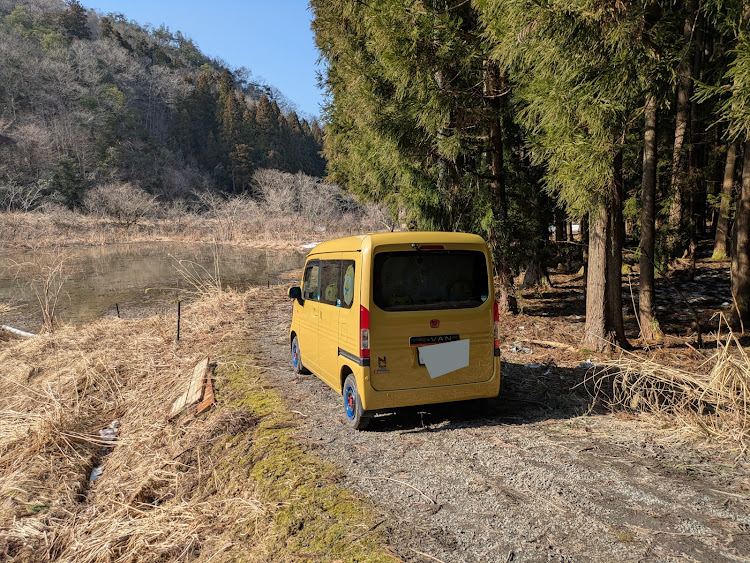 N-VANの林道ドライブ・花粉まみれに関するカスタム事例の投稿画像3枚目