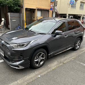 RAV4 AXAH54