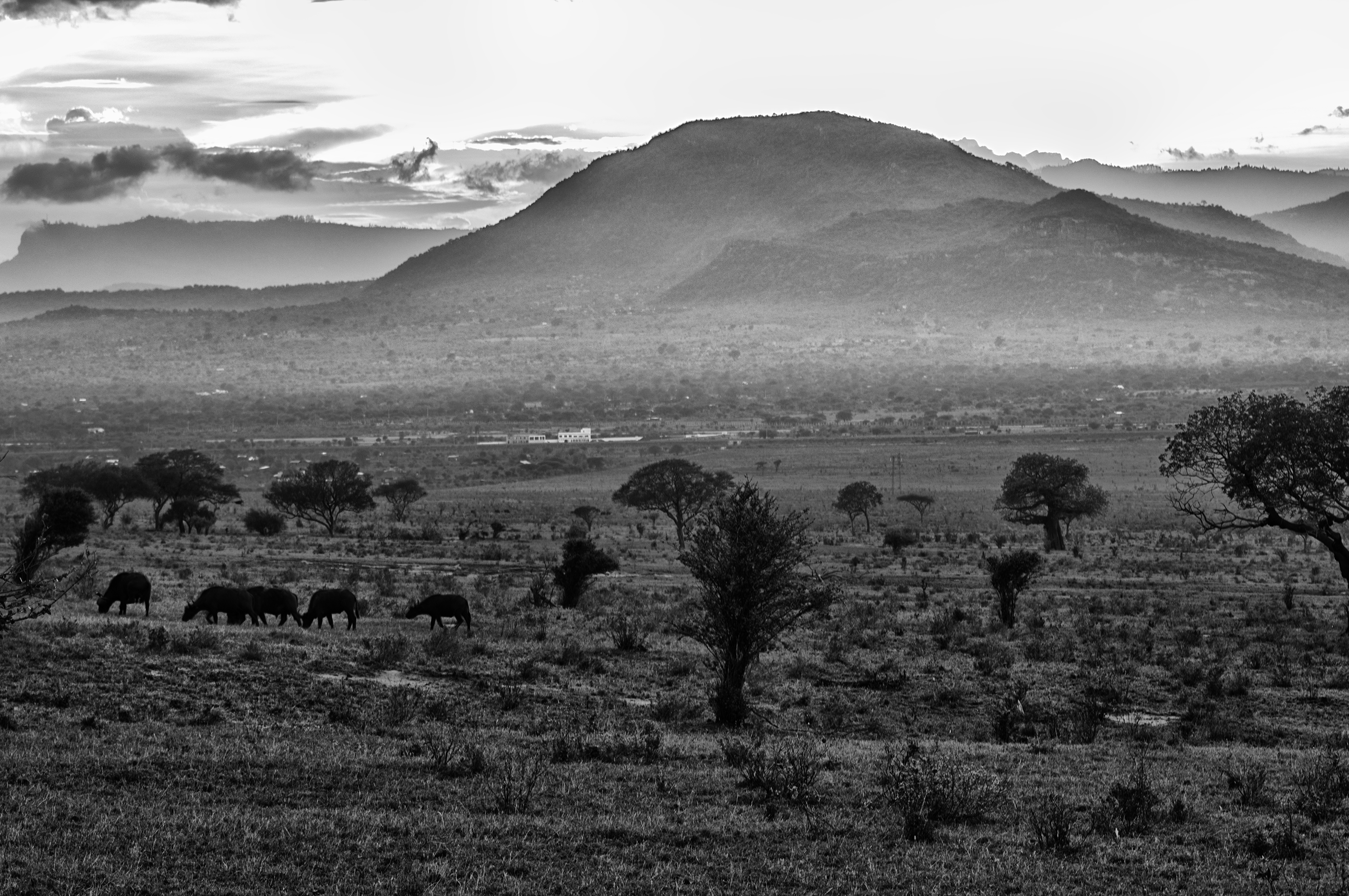 Africa, storie di luci che non tramontano di Francesco_Dromomania