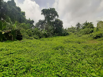 terrain à L Ajoupa Bouillon (972)