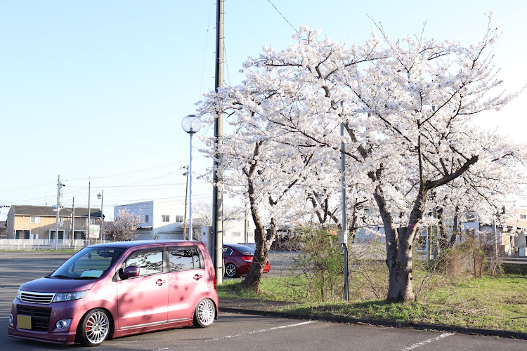 の投稿画像1枚目