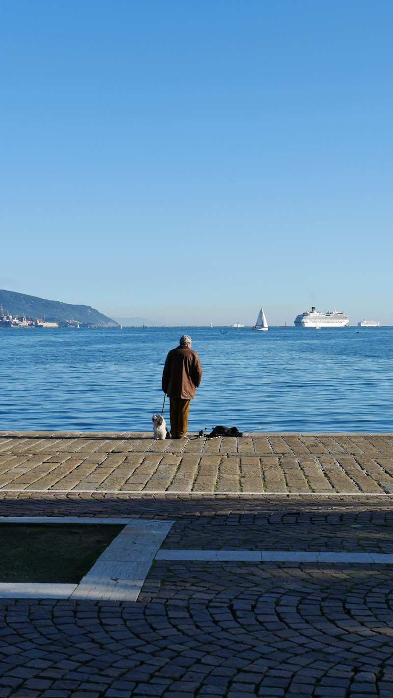 L'uomo e il mare di manolina