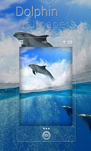 Dolphin Live Wallpaper HD Free