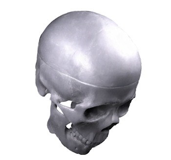 Skull 27