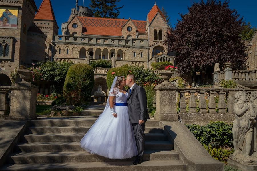 Fotógrafo de casamento Gábor Csurgó (csurgo). Foto de 3 de março 2019