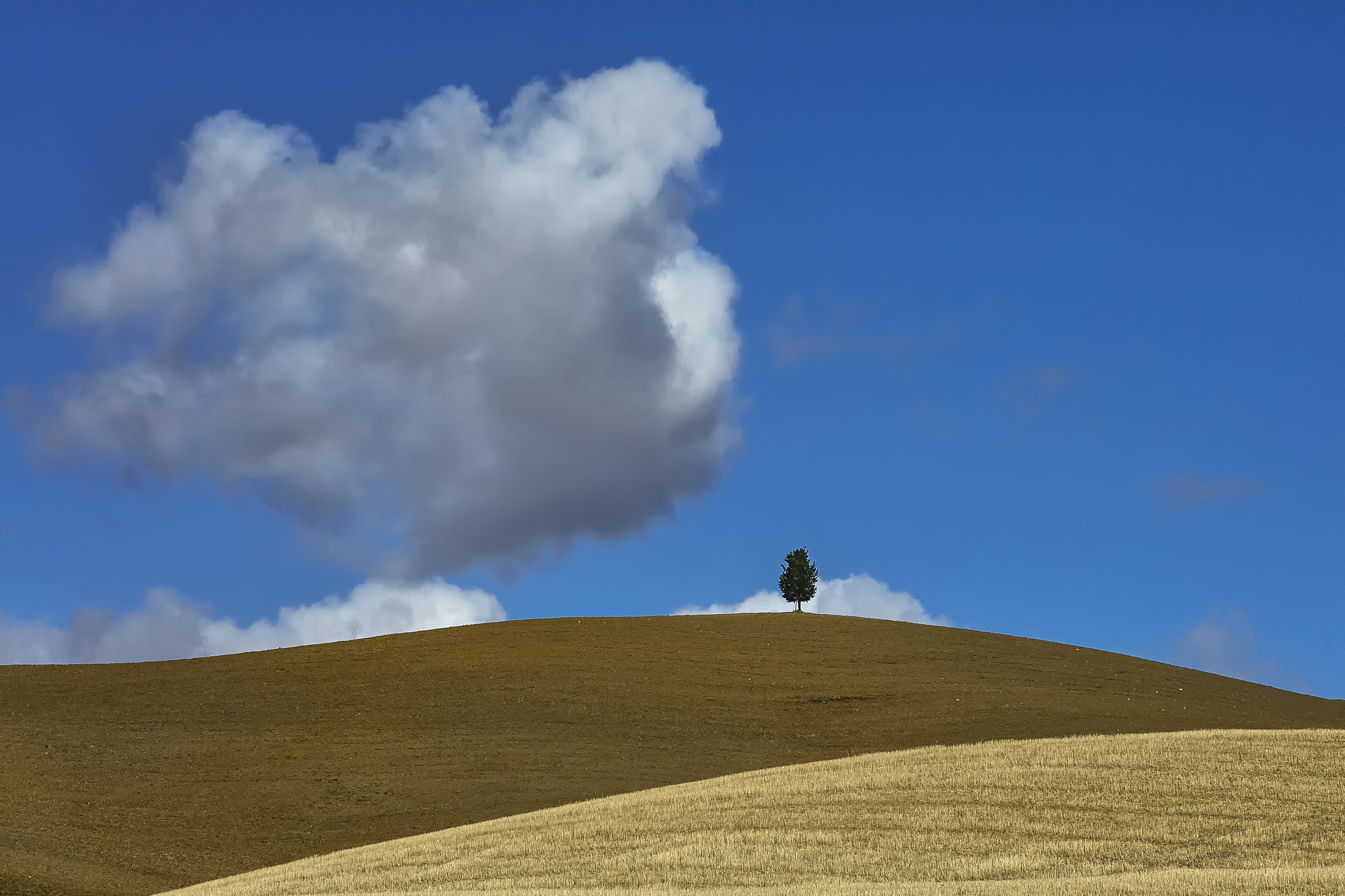 Tra cielo e terra di francofabbretti