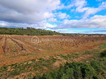 terrain à Murviel-lès-Béziers (34)