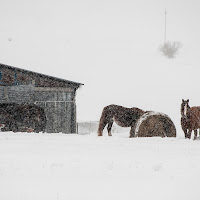 winter in Castelluccio di 