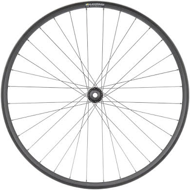 Quality Wheels MTB E-Bike Alex EM30 Disc Front Wheel - 29", 15x110mm, Center-Lock alternate image 1