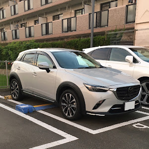 CX-3 DKEFW