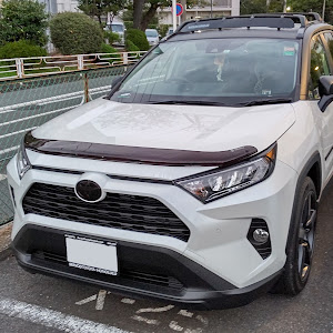 RAV4 AXAH52