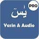 Download Yasin: Terjemahan & Audio | Pro For PC Windows and Mac 1.0