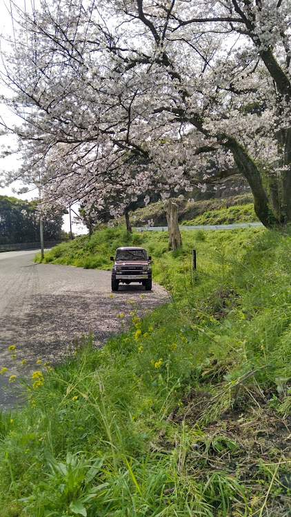 ランドクルーザープラド78のｔｗｏ-ｋ魂・SPC・桜・スマホ・無加工に関するカスタム事例の投稿画像12枚目