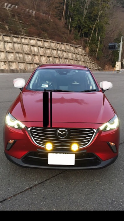 CX-3のcx-3誕生日・ボンネットストライプで葛藤に関するカスタム事例の投稿画像2枚目