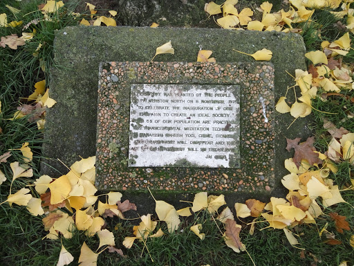 Transcendental Meditation Technique Plaque