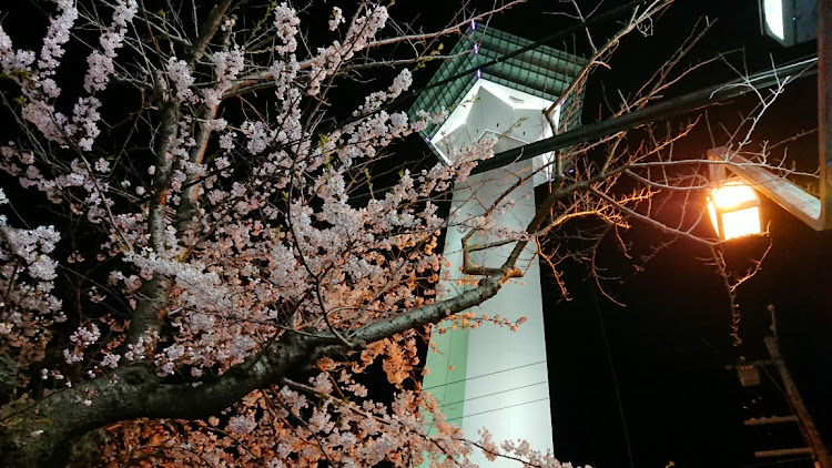 MR2の五稜郭タワー・五稜郭・チャイニーズチキンバーガー・松前さくらまつり・夜景に関するカスタム事例の投稿画像25枚目