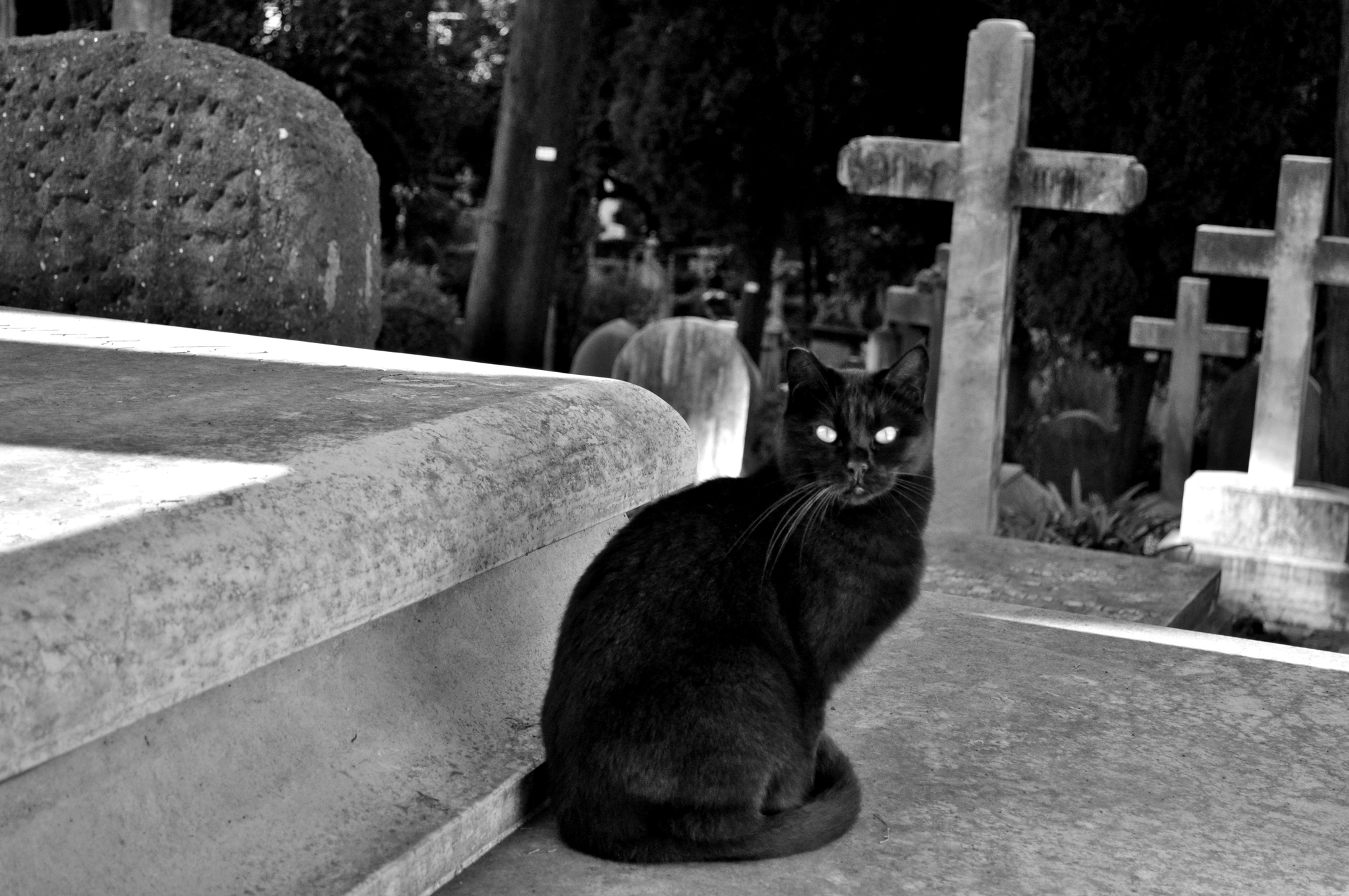 Cimitero degli Inglesi di Saragypsy