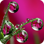 Cover Image of Tải xuống Water Drops Wallpaper 4K Latest 1.01 APK