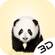 Download Wild Animals Cute Panda Hd Live 3D Wallpaper For PC Windows and Mac