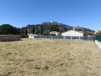 maison neuve à Roquebrune-sur-Argens (83)