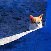 Per le strade di Chefchaouen di 