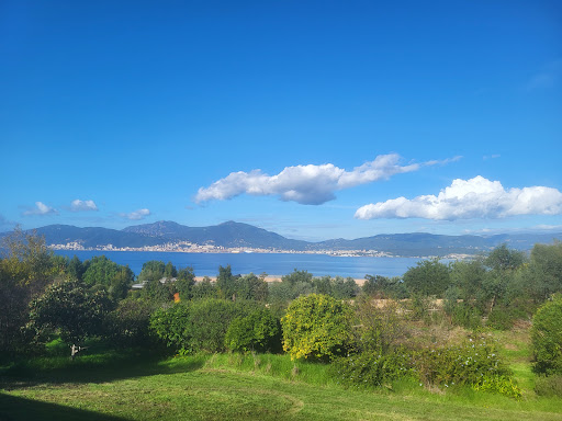 Propriété avec piscine et jardin 1