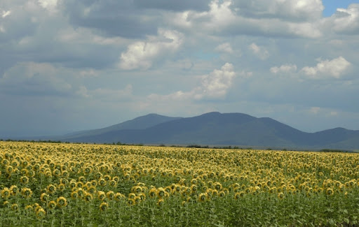 Sutra toplo i nestabilno vreme