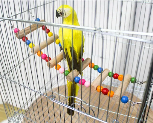 Bird Parrot Toys Colorful Hanging Cage Climbing Ladders with Natural Wood Parrots Suspension Bridge Swing Toys Bird Toy 