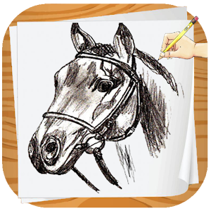 How To Draw Horses  Icon