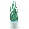 Houseplants icon