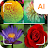 Flower identifier icon