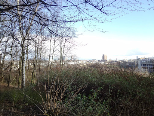 Cologne Germany 2014