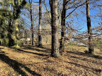 terrain à Niederbronn-les-Bains (67)