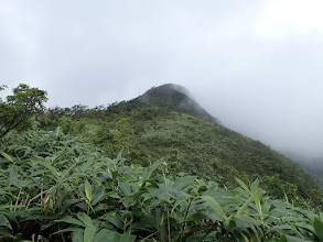 山頂が見えて