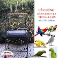 Cầu Đứng Cho Vẹt Hàng Cao Cấp Nhập Khẩu Dành Cho Vẹt Trung Và Lớn Như Xám, Xích, Amazon, Electus, Lory, Macaw ..