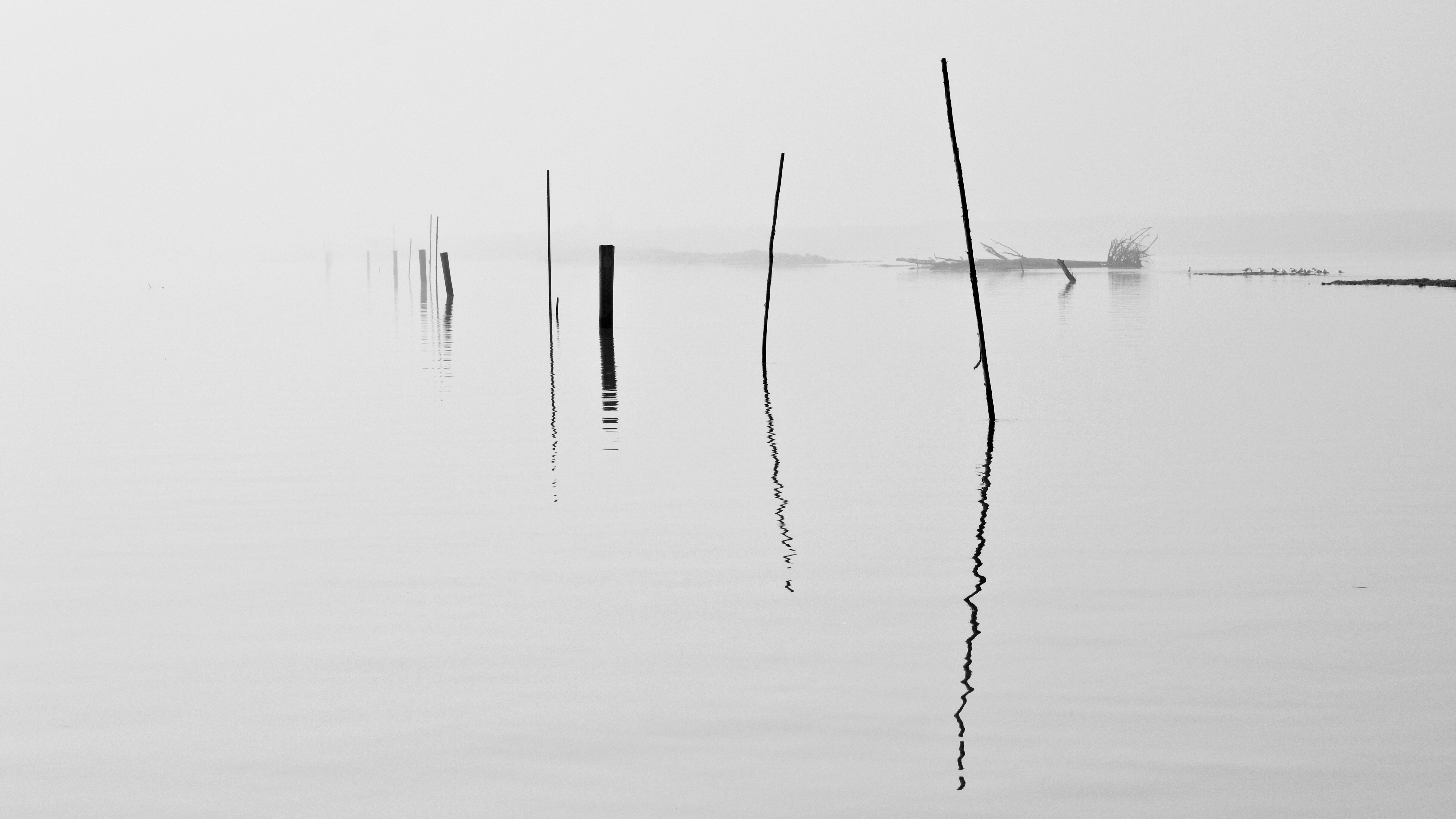 La Laguna di giuseppedangelo