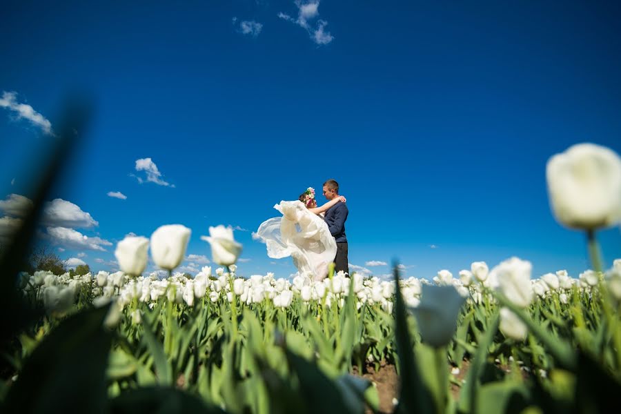 Fotografo di matrimoni Vitaliy Skigar (spilman). Foto del 27 aprile 2016