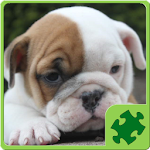 Dogs Puzzle Apk