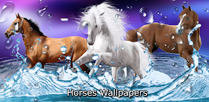 Horses by Dream World HD Live Wallpapers para Android baixar grátis. O  papel de parede animado Cavalos de Android.