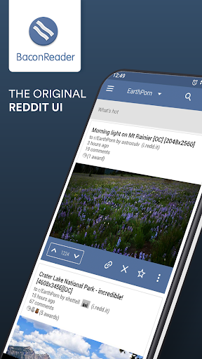 BaconReader Premium for Reddit