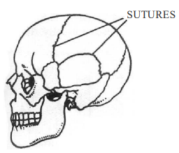 Different Types of Joints